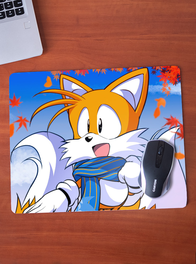 Килимок 36*29,5см Сонік Х 2 (Sonic X)