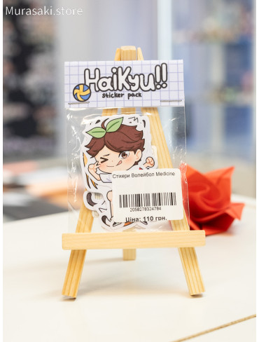 Авторський набір стікерів Волейбол (Haikyuu) / Epoxy Medicine