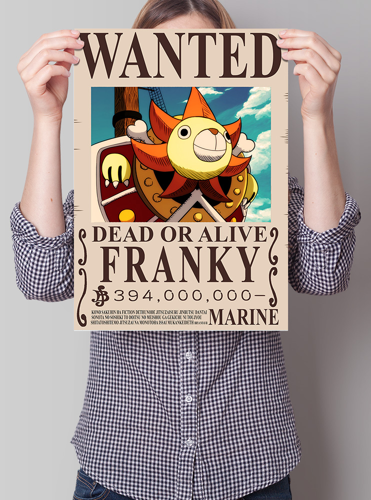 Плакат А3 Таузенд Санні (One Piece)