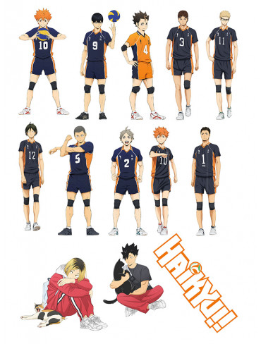 Стікерпак А4 Волейбол (Haikyuu)